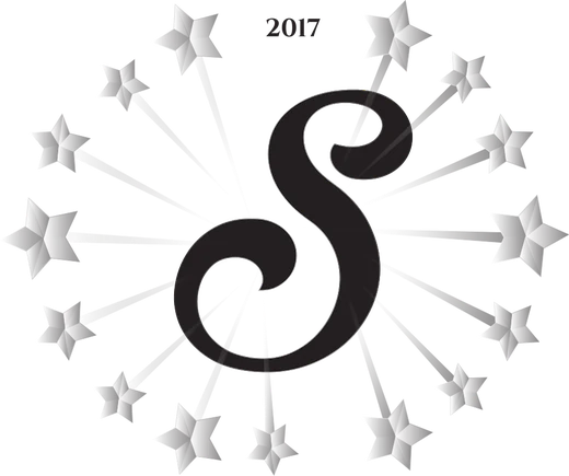 SırlıSepet 2017 logosu